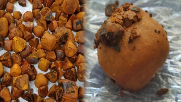 Niu Huang: Sığır Safra Taşlarının Ekonomik ve Endüstriyel Etkileri