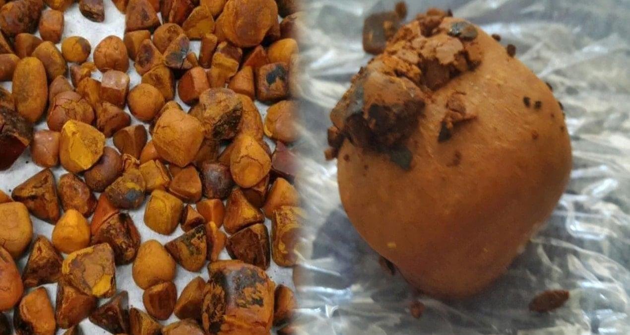 Niu Huang: Sığır Safra Taşlarının Ekonomik ve Endüstriyel Etkileri