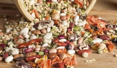 Protein Bilinci: Yapı Taşımızı Doğru Kaynaklardan Karşılamak