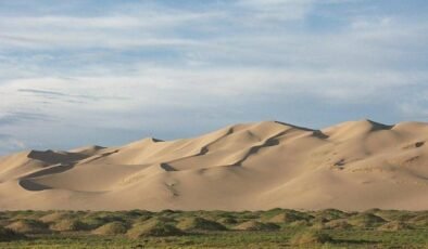 Ravjaa ishiii: Gobi Çölü’nde Geç Kretase’deki En Küçük Fosil Parçasının Büyük Sırları