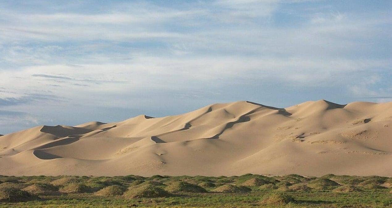 Ravjaa ishiii: Gobi Çölü’nde Geç Kretase’deki En Küçük Fosil Parçasının Büyük Sırları