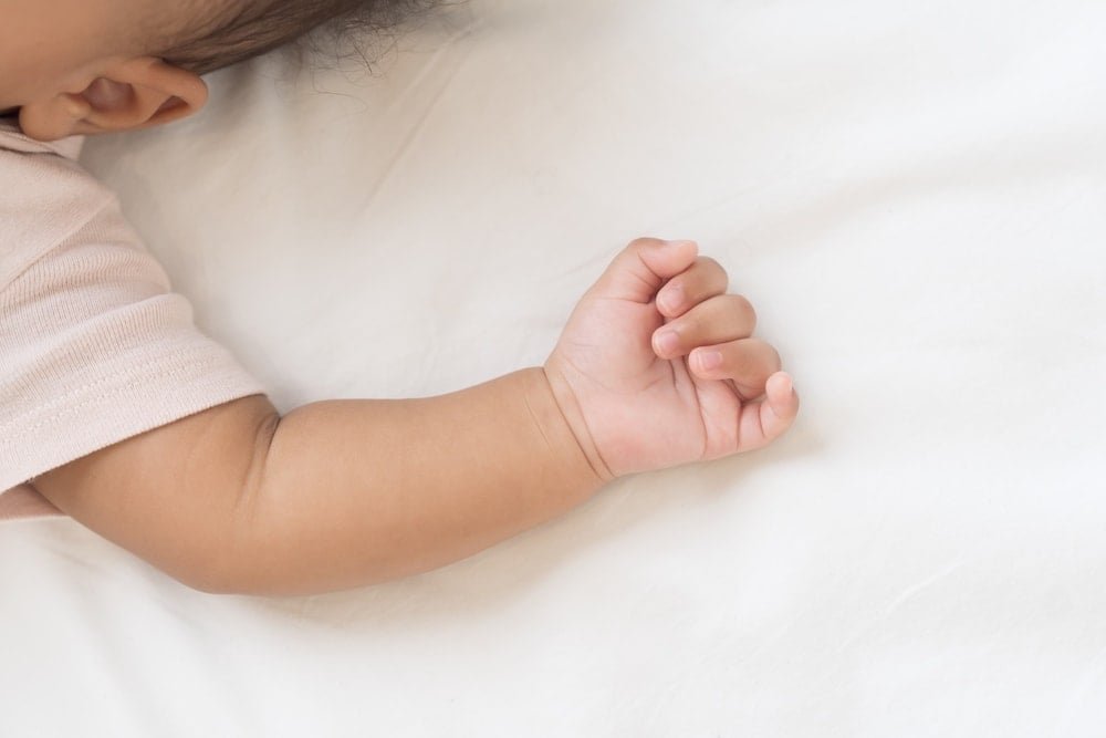 Sıcaklık Değişimleri Doğurganlığı ve Cinsiyet Oranını Etkileyen Yeni Bulgular