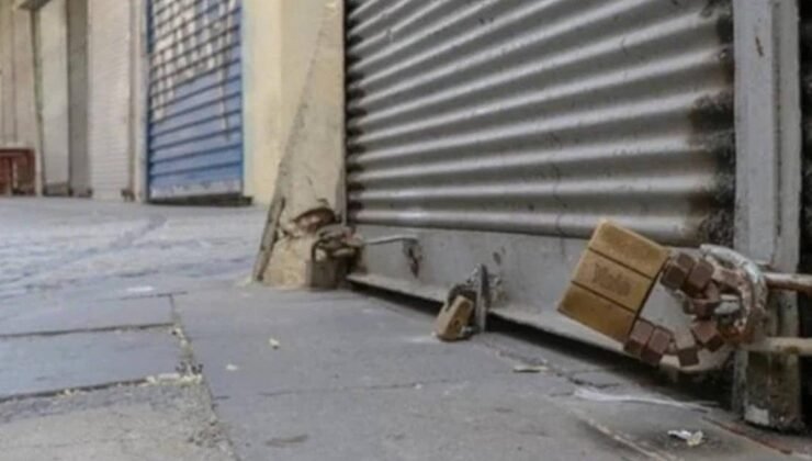 Şubat Ayında Şirket Kuruluşları ve Kapanışları: İllere Göre Dağılım ve Sektörel Dağılım Analizi