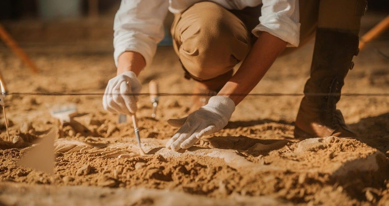 Tananda Vadisi’ndeki En Eski İzler: Buzsuz Koridor ve Kıyı Yolları Arasında Clovis Öncesi İnsanlar