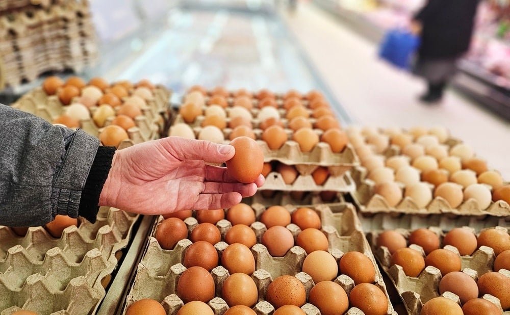 Türkiye'de Yumurta İhracatı ve İç Piyasa Fiyat Dengesinin Hareketli Günleri