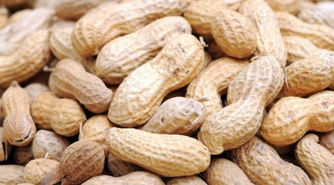 Yer Fıstığı Kabuğu Atıklarından Grafen Üretiminde Flash Joule Heating ile Yeni Bir Yöntem