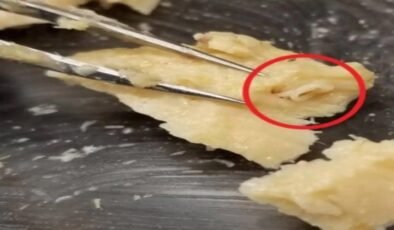 Zaman Kapsülü Niteliğindeki Konserve Somonlar: Alaska Ekosisteminde 42 Yıllık Değişimin İzleri