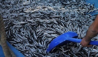 2025 Su Ürünleri Sektörü: Avcılık, Üretim ve Desteklerde Yeni Dönem