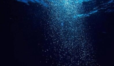 And Dağları ile Amazon Nehri Arasındaki Keşif: Nadir Türler ve Ekolojik Koridor Çalışması