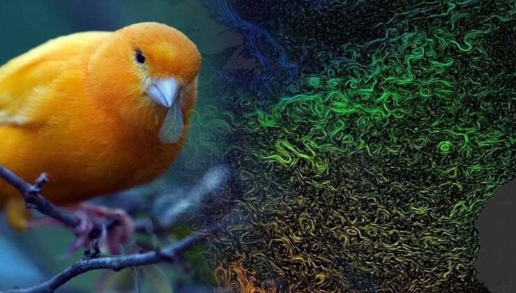 Atlantik Meridyenel Devrilme Dolaşımı: İnsan Kaynaklı Isınmanın Getirdiği Tehlike ve Erken Uyarılar