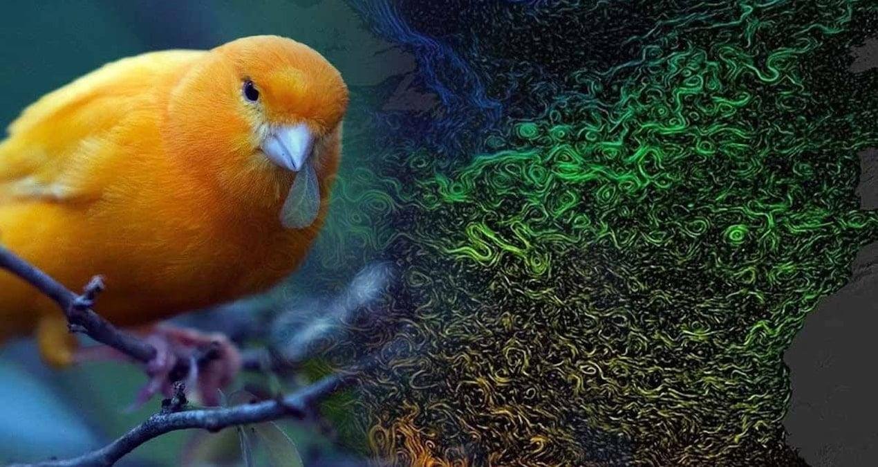 Atlantik Meridyenel Devrilme Dolaşımı: İnsan Kaynaklı Isınmanın Getirdiği Tehlike ve Erken Uyarılar