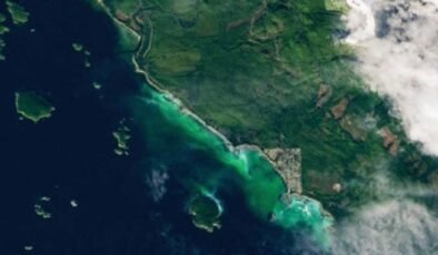 Barkley Sound’da Ringa Sürüsü: Uydu Verileriyle 2026 Baharı