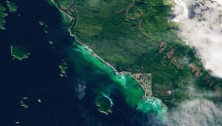 Barkley Sound’da Ringa Sürüsü: Uydu Verileriyle 2026 Baharı