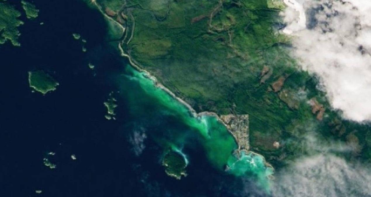 Barkley Sound’da Ringa Sürüsü: Uydu Verileriyle 2026 Baharı