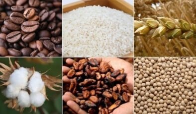 Bu Hafta Emtia Piyasalarında Yükselişin Yeniden Formülü: Arz-Endeksli Rüzgârlar ve Bölgesel Haberler