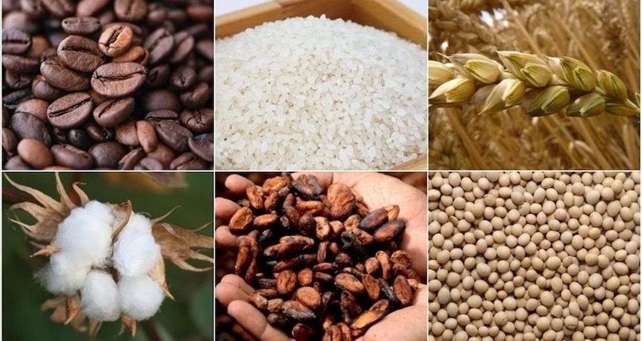 Bu Hafta Emtia Piyasalarında Yükselişin Yeniden Formülü: Arz-Endeksli Rüzgârlar ve Bölgesel Haberler