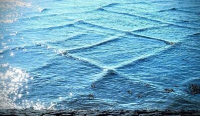 Dalgaların Çapraz Dansı: Michigan Gölü’nde Kare Desenlerin Bilimi