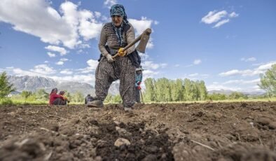 Emeklilerin Feryadına Kulak Tutan Yetkililer: Hobi Bahçeleri ve Maliyet Dönüyor