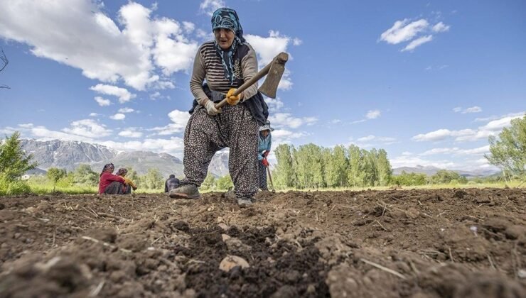 Emeklilerin Feryadına Kulak Tutan Yetkililer: Hobi Bahçeleri ve Maliyet Dönüyor