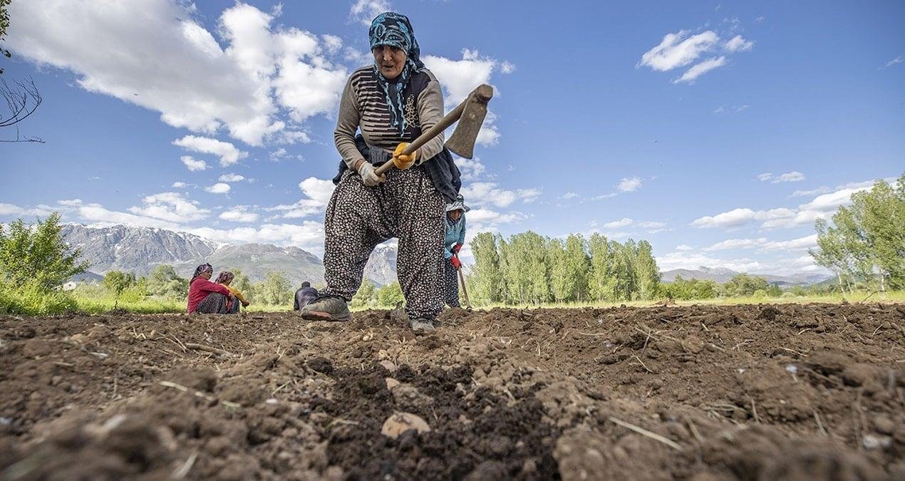 Emeklilerin Feryadına Kulak Tutan Yetkililer: Hobi Bahçeleri ve Maliyet Dönüyor