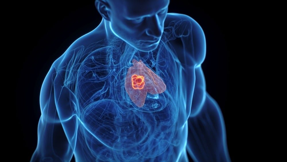 Ergenlik Sonrası Timus: Yapay Zeka ile Yeni Yaşam Dalgası ve Kanserle Mücadeledeki Gizli Rol