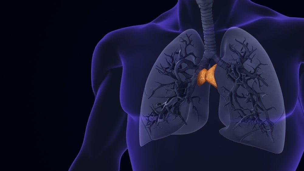 Ergenlik Sonrası Timus: Yapay Zeka ile Yeni Yaşam Dalgası ve Kanserle Mücadeledeki Gizli Rol