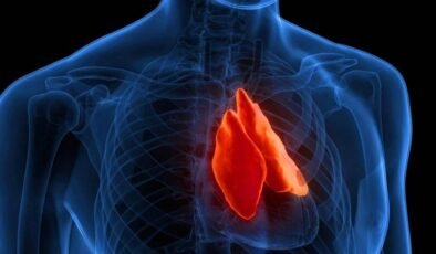 Ergenlik Sonrası Timus: Yapay Zeka ile Yeni Yaşam Dalgası ve Kanserle Mücadeledeki Gizli Rol