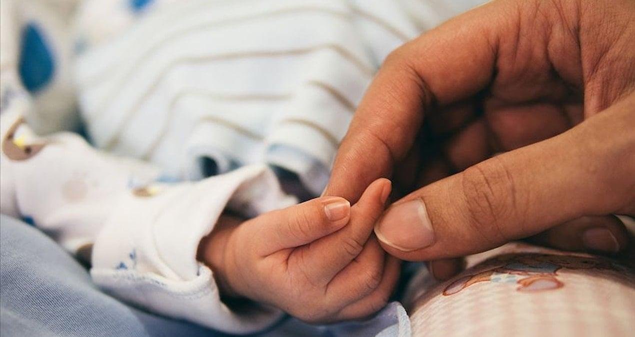 Gelecek Nesillerin Zihinsel ve Ahlaki Güvenliğini Korumaya Yönelik Hükümet ve STK Görüşleri