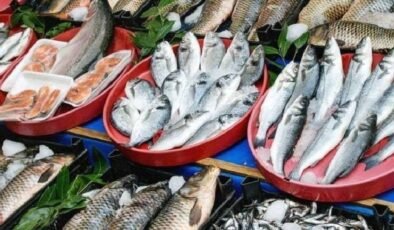 İlaç Kalıntıları, Arıtılmış Sular ve Balık Popülasyonları: Ontario’da Ekosistem İçin Uyarı