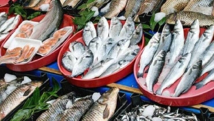 İlaç Kalıntıları, Arıtılmış Sular ve Balık Popülasyonları: Ontario’da Ekosistem İçin Uyarı