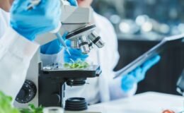 Küstüm Otu: Bitkilerin Öğrenme Yeteneğini Sorgulatan Deneysel Bulgular