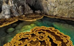 Lechuguilla Mağarası: Antibiyotik Direncinin Doğal Kökenleri ve Geleceğe Yönelik Dersler