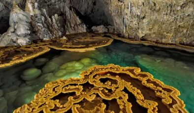 Lechuguilla Mağarası: Antibiyotik Direncinin Doğal Kökenleri ve Geleceğe Yönelik Dersler