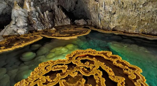 Lechuguilla Mağarası: Antibiyotik Direncinin Doğal Kökenleri ve Geleceğe Yönelik Dersler