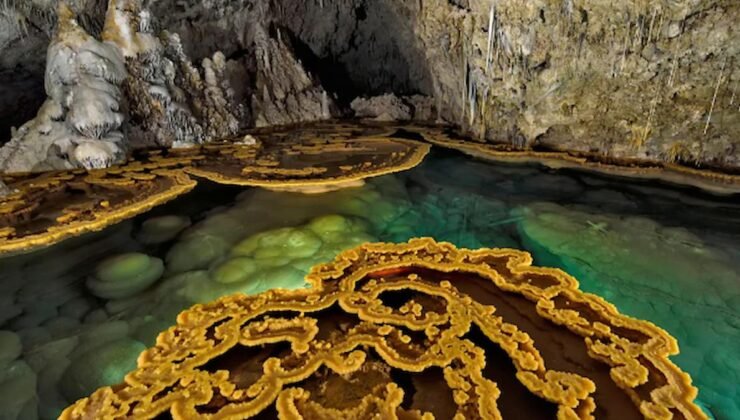 Lechuguilla Mağarası: Antibiyotik Direncinin Doğal Kökenleri ve Geleceğe Yönelik Dersler