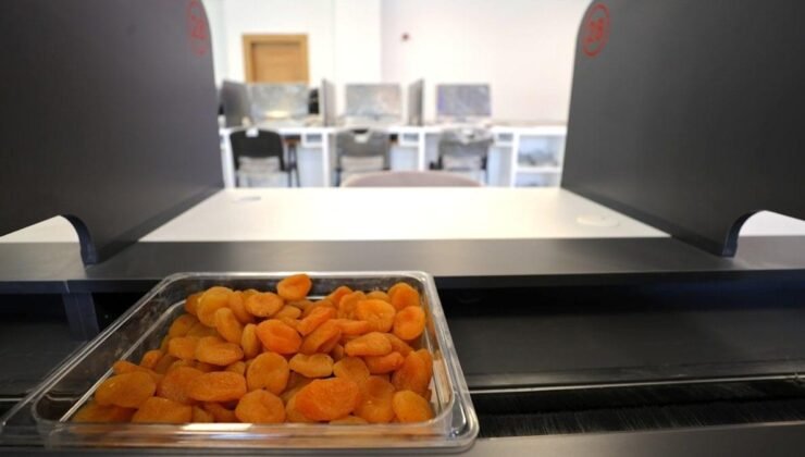 Malatya Kayısısında Takas ve Dijital Kalite Değerlendirmeyle Yeni Dönem