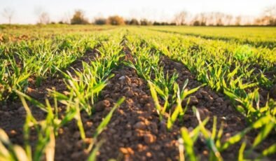 Merkezde Tarıma Destek ve Gençlik İçin Net Güçlendirme Çağrısı: Melih Meriç’in Sonuç Odaklı Planı