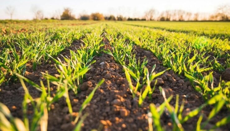 Merkezde Tarıma Destek ve Gençlik İçin Net Güçlendirme Çağrısı: Melih Meriç’in Sonuç Odaklı Planı