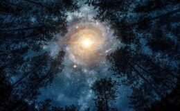 Pembe Ay ve Artemis II: Bahar Gökyüzünde Büyüleyici Başlangıç