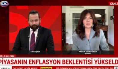 Piyasa Beklentileri ve Enflasyon Üzerine Analiz: Genişlemeye Yönelik Tahminler ve Politika Önerileri