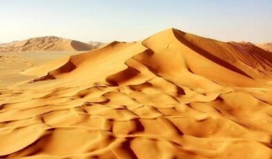 Spinosaurus mirabilis: Nehirler ve Kıyı Şeridi Arasındaki Hızlı Avcı