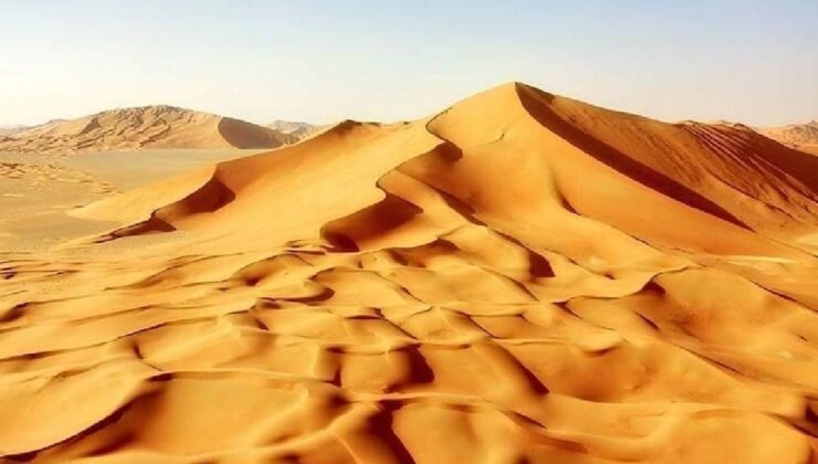 Spinosaurus mirabilis: Nehirler ve Kıyı Şeridi Arasındaki Hızlı Avcı