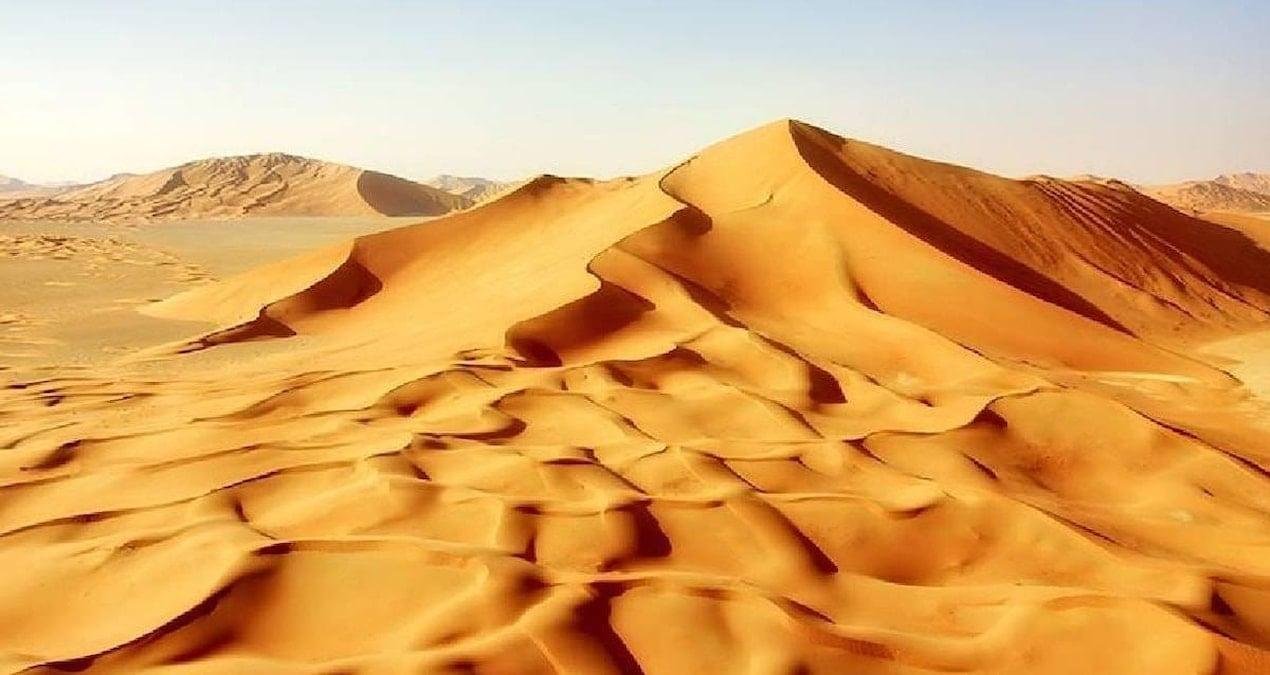 Spinosaurus mirabilis: Nehirler ve Kıyı Şeridi Arasındaki Hızlı Avcı