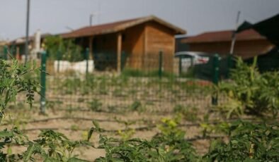 Tarım Arazileri için Yeni Yönetmelik: Yapılaşmaya Sınırlar, Yıkım ve Cezalar Başlıyor