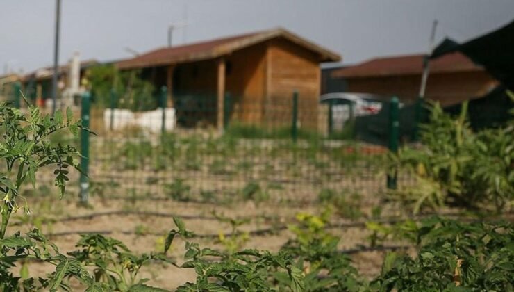 Tarım Arazileri için Yeni Yönetmelik: Yapılaşmaya Sınırlar, Yıkım ve Cezalar Başlıyor