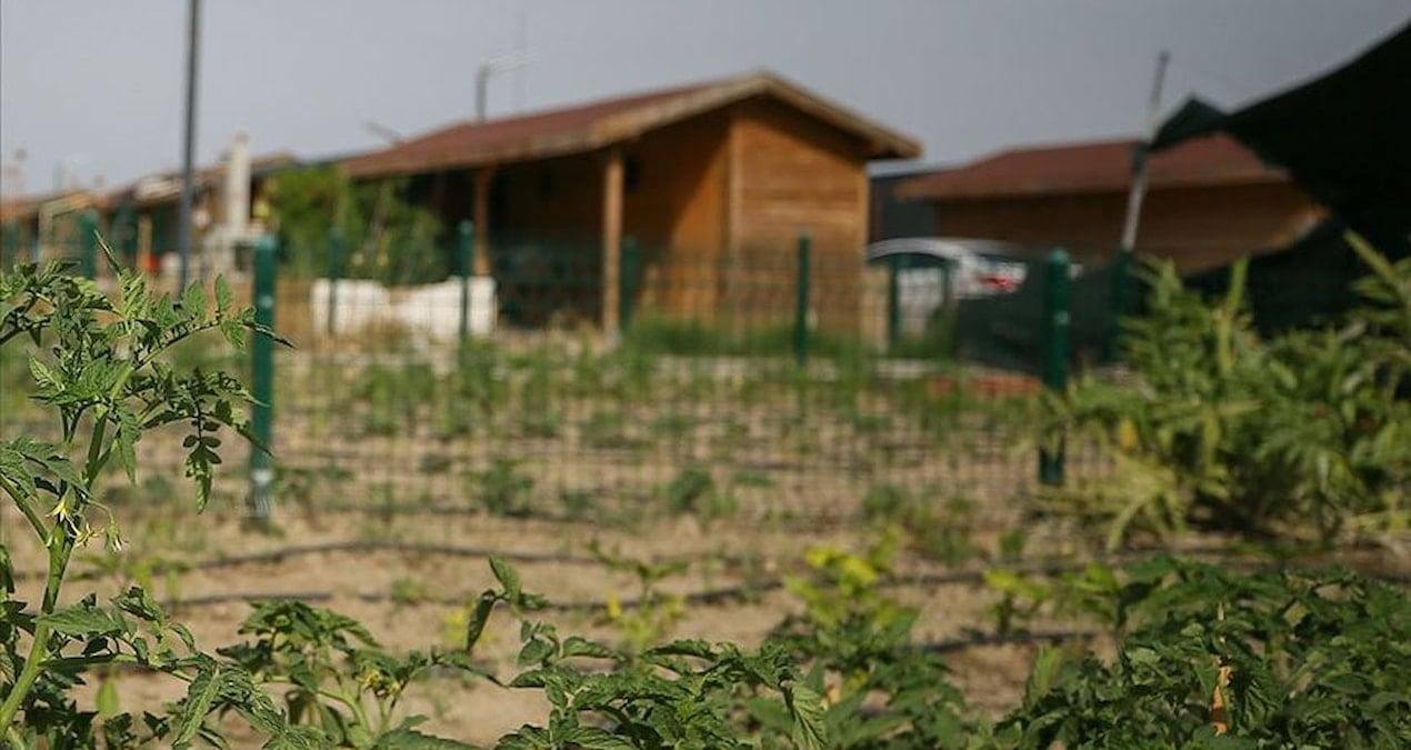 Tarım Arazileri için Yeni Yönetmelik: Yapılaşmaya Sınırlar, Yıkım ve Cezalar Başlıyor