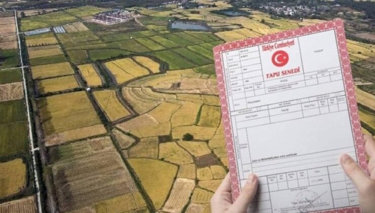 Tarım Arazilerinin Korunmasına Yönelik Yeni Yönetmelik: Yapılar ve Yıkımlar Hızlandırılıyor