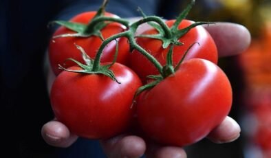 Türkiye’nin Domates İhracatı: İlk Çeyrekte Satışlar ve Pazar Dinamikleri