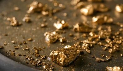 Viyana Bodrumunda Altın Sandığı: Tesisatçının Şaşırtan Keşfi ve Hukuki Müzakereler