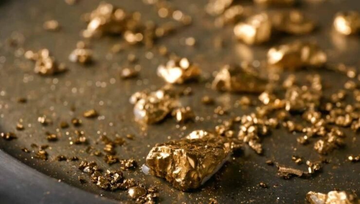 Viyana Bodrumunda Altın Sandığı: Tesisatçının Şaşırtan Keşfi ve Hukuki Müzakereler